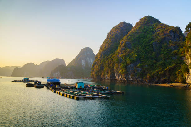 istock Landscape of Halong Bay at sunset 810689686