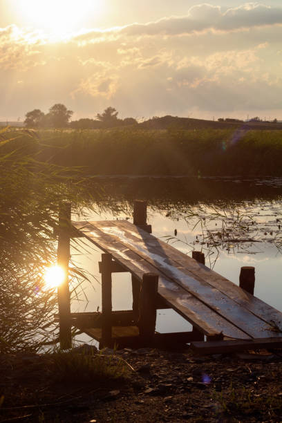 istock old wooden bridge on the lake 810693108