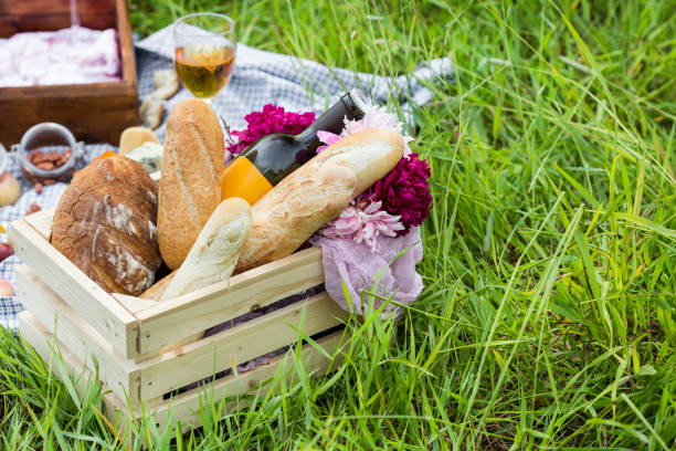 istock Picnic at the park on the grass 810695526