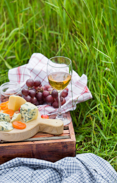 istock Picnic at the park on the grass 810700704