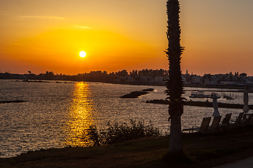 Palm trees on coean shore at tropic sunset