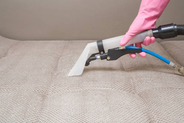 istock Sofa chemical cleaning with professionally extraction method. Hand in rubber protective glove holding nozzle of extractor. Upholstered furniture. Early spring or regular clean up. 810705480