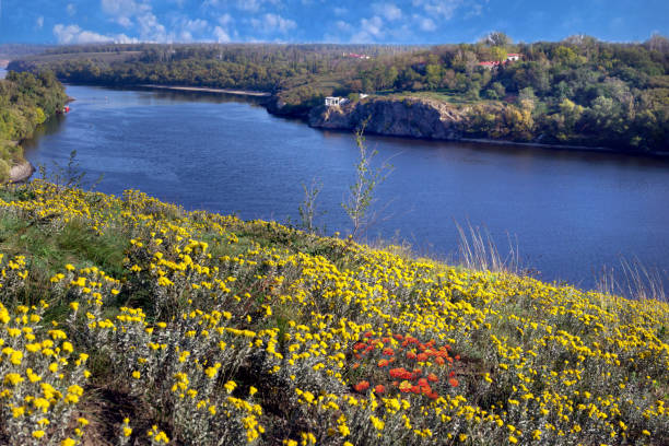 istock Beautiful flowers over river 810710356