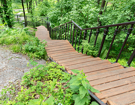 A wooden staircase with figured metal railing descends down the grove, a lighted park path goes down the hillside bending around a large stone boulder