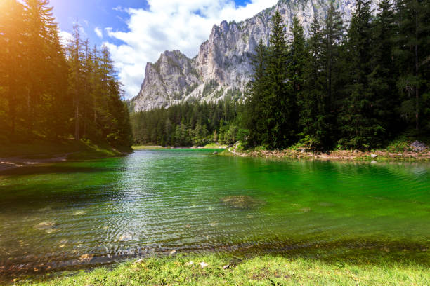 istock Gruner See - Beautiful green lake with crystal clear water 810717572