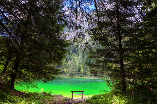 panca in legno vuota sul lago verde con acqua cristallina - gruner foto e immagini stock