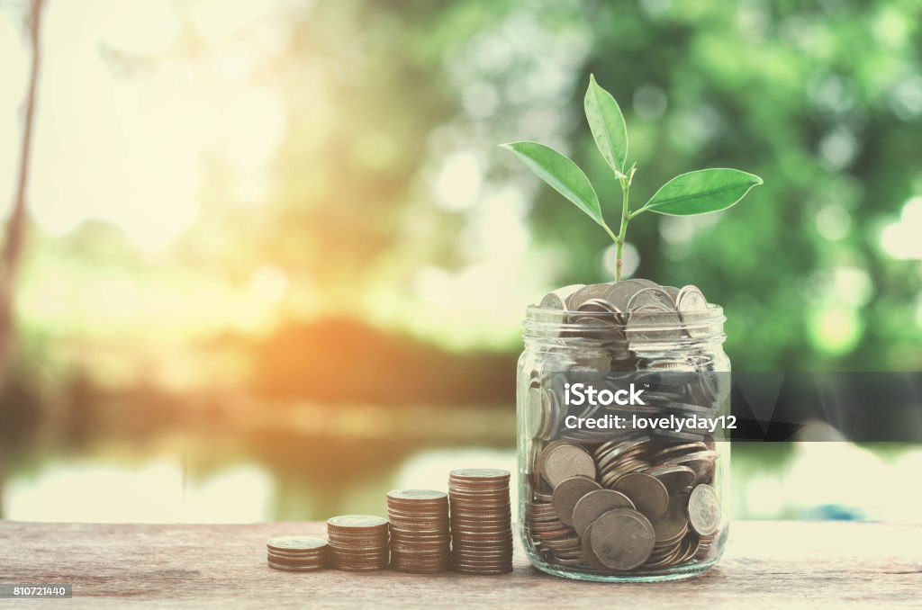 business concept money of glass and growht small tree Plant Stock Photo