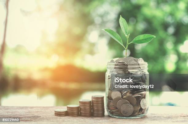 Business Concept Money Of Glass And Growht Small Tree Stock Photo - Download Image Now