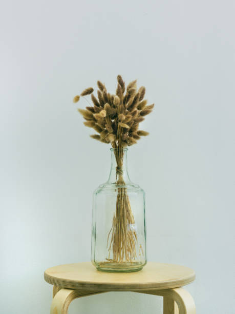istock Decorative plants in a glass bottle 810721774