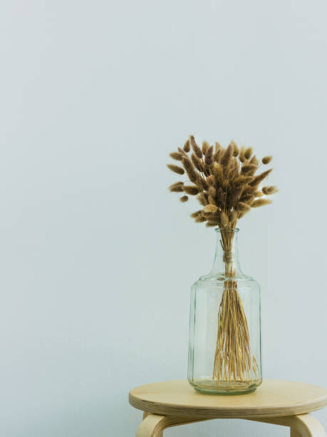 istock Decorative plants in a glass bottle 810721780