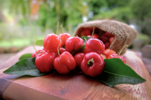 istock Acerola fruit close up on background 810733180