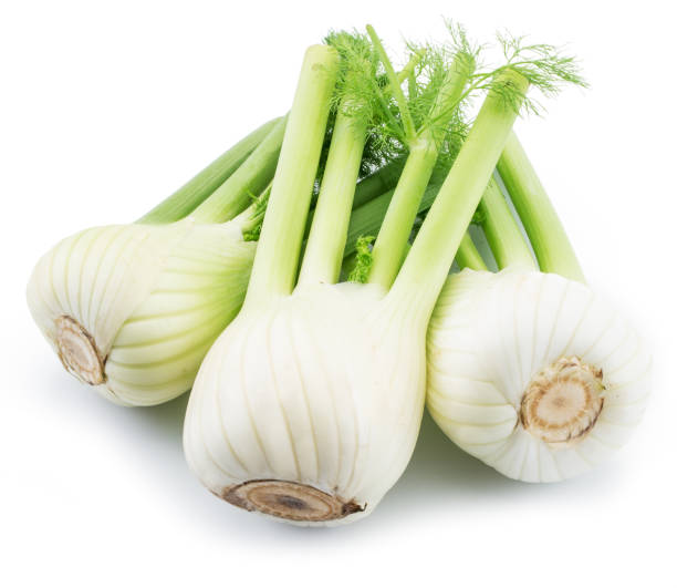 istock Florence fennel bulbs. Isolated on a white background. 810736756