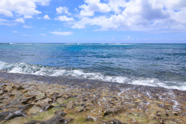 istock beautiful beach on Oahu North Shore Hawaii (Turtle beach) 810737022