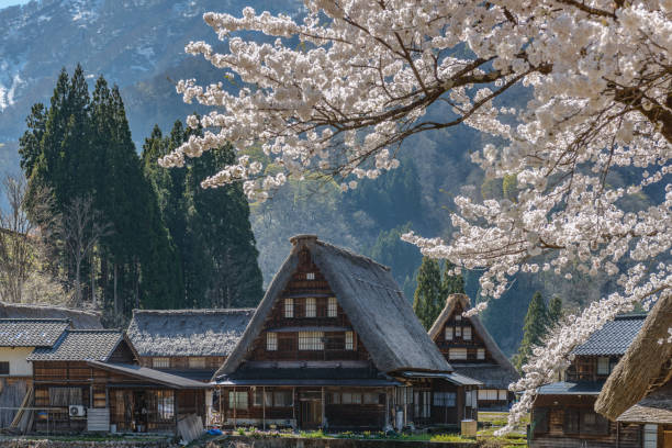 wpisana na listę światowego dziedzictwa unesco wioska górska suganuma (gokayama) - spring organization nature field zdjęcia i obrazy z banku zdjęć