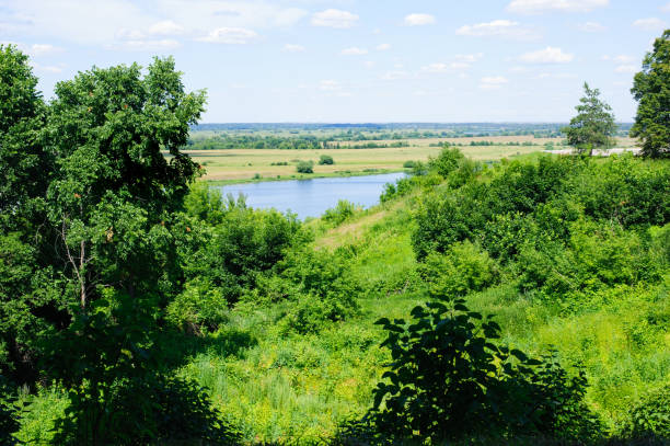 View on Oka River near Konstantinovo on a sunny summer day, ryazan, Russia