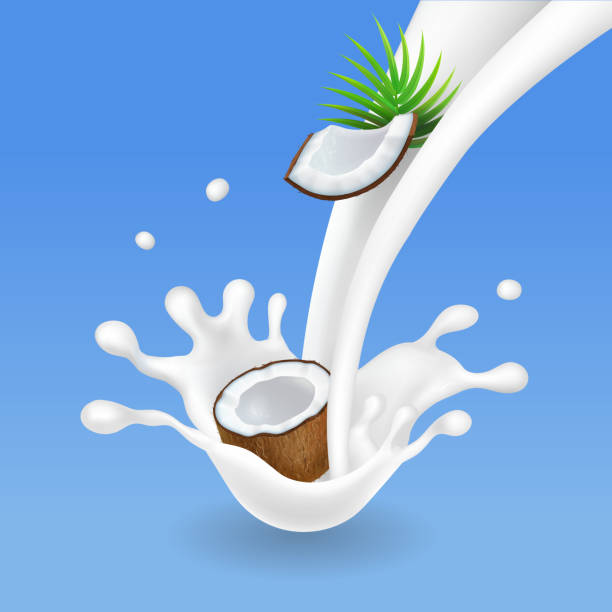 ilustrações de stock, clip art, desenhos animados e ícones de milk splash and coconut, realistic milkshake vector - dairy farm liquid food and drink splashing