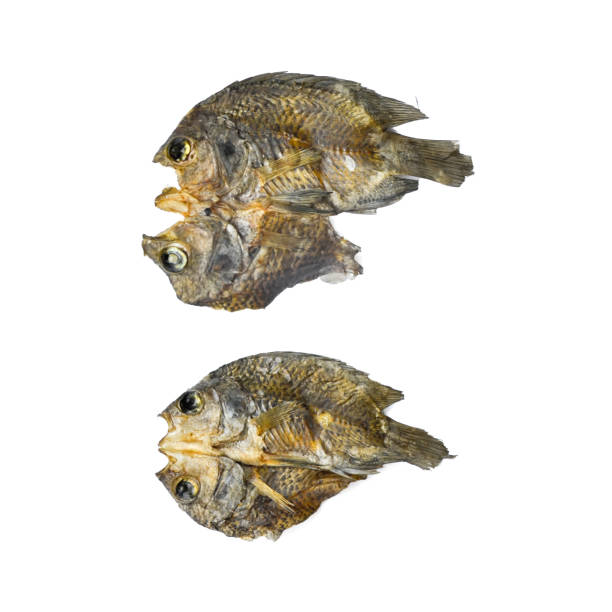 istock Dry fish with sunny on the white background 810757376