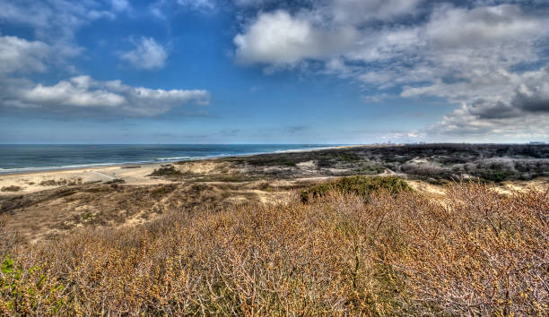istock Dunes on the Dutch coast 810757660