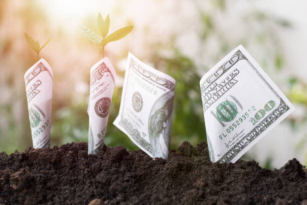 istock planting dollar and tree growing up on soil, concept as save earth and world environment day, investment and finance banking 810773958