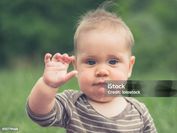 Schattige Kleine Baby In De Natuur Is Zwaaien Stockfoto en meer beelden van Baby - Baby, Scheiding - Begrippen, Zwaaien - Gebaren