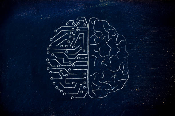 artificial circuits and human brain stock photo