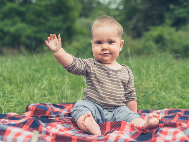 Cute little baby in nature on picnic blanket is waving stock photo