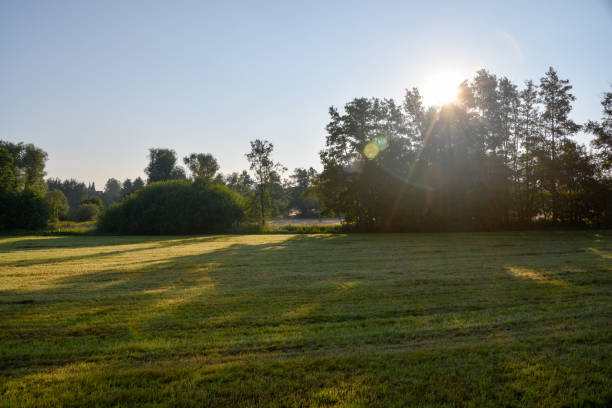 istock View over pastureland in the morning 810785002
