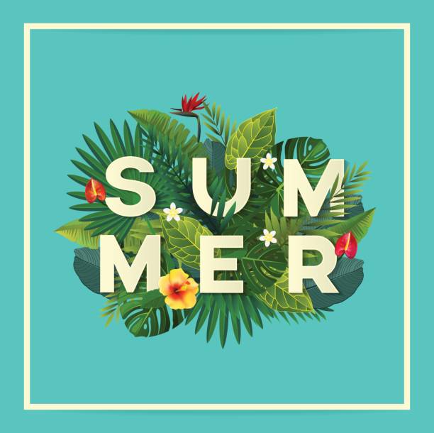 Summer Flyer - ilustração de arte vetorial