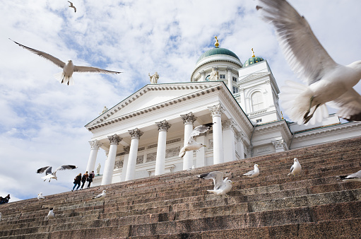 Helsinki Cathedral - Finnish Evangelical Lutheran - and flying seagulls, shot from the Senate Square steps in summer. The distinctive, neoclassical cathedral was built from 1830-1852.