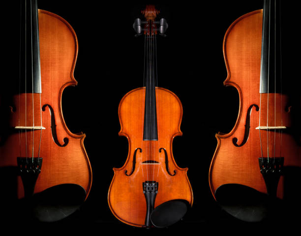 Closeup Violin orchestra musical instruments on black background