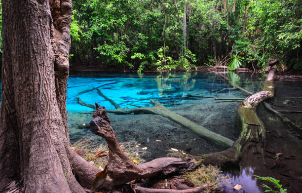 istock Emerald blue pool in Krabi province, Thailand 810826982