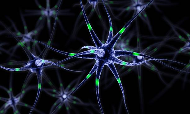 istock Wires from the point of brain graphics, 3d illustration. 810831466
