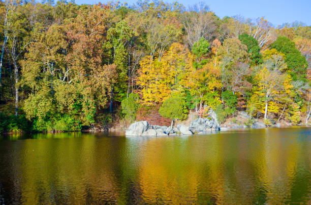 istock Reflection of trees during autumn on river in Great Falls, Virginia 810840450