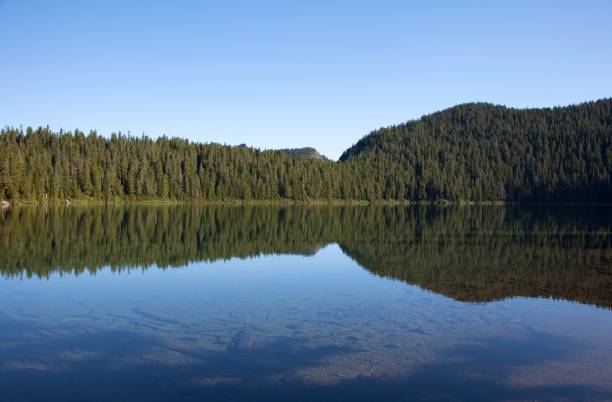 istock Mt. Rainier, Mowich Lake, and Spray Falls 810844470