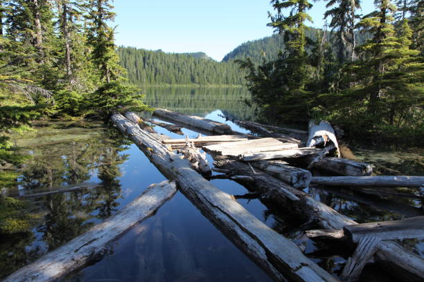istock Mt. Rainier, Mowich Lake, and Spray Falls 810844484