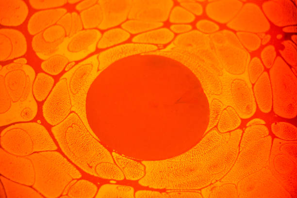 istock Colorful ebru or art of Marbling background 810850932
