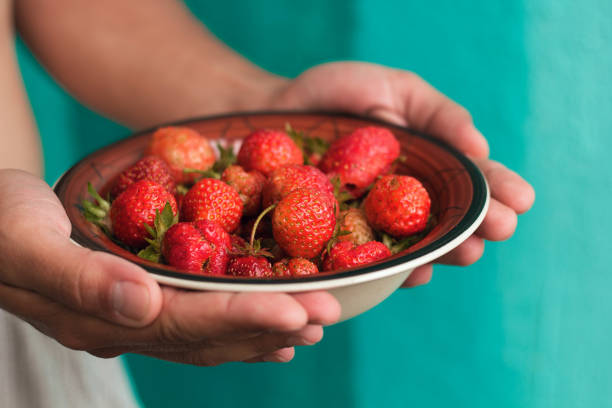 istock hands hold plate with fresh organic strawberries 810853788