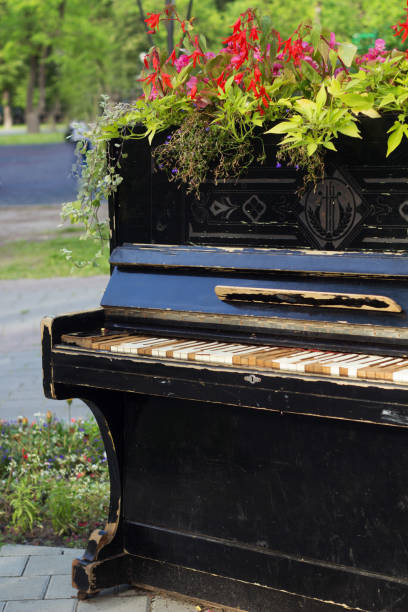 istock landscape design - using of the old piano as beds. 810853978