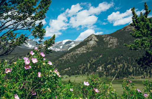 Wild primeval nature of the Rocky Mountains in Colorado, USA. Ecological nature reserve. Rocky Mountain National Park