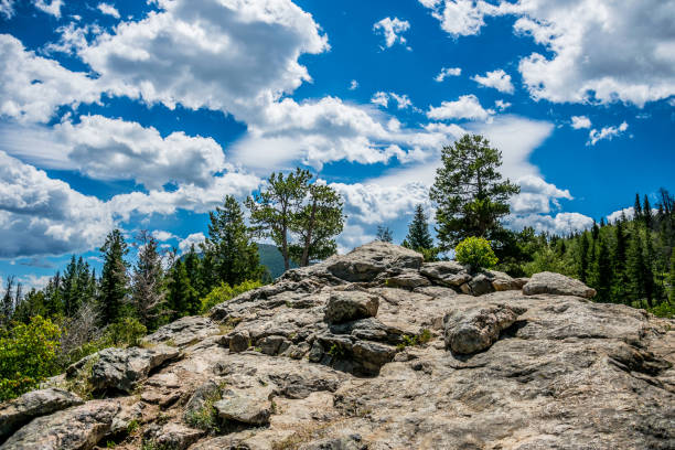 istock Stone cliff and bright blue sky over the Rocky Mountains 810854060