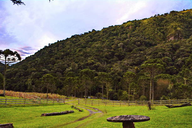 istock Santa Catarina landscapes 810863840