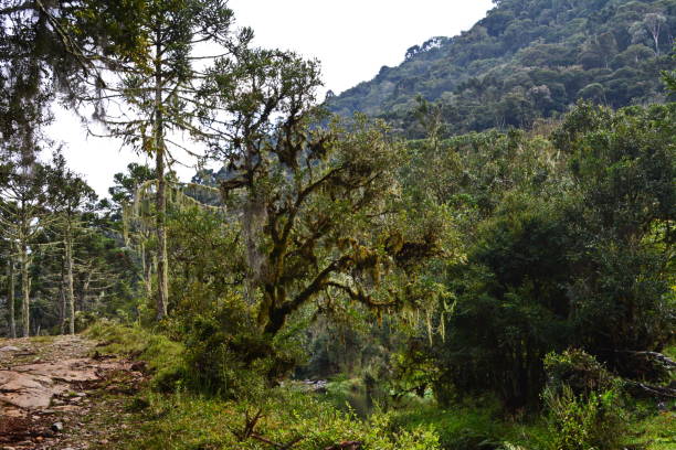 istock Santa Catarina landscapes 810864140