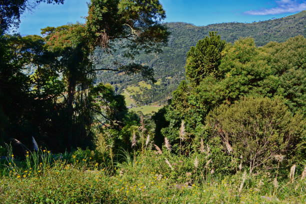 istock Santa Catarina landscapes 810864144