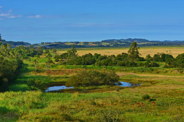 istock Santa Catarina landscapes 810864246