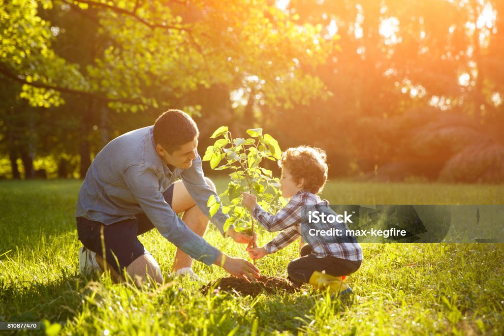 Pianta di impostazione padre e figlio - Foto stock royalty-free di Piantare