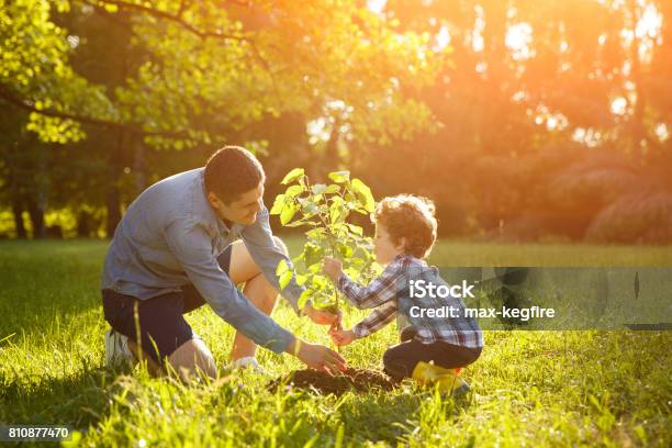 Pianta Di Impostazione Padre E Figlio - Fotografie stock e altre immagini di Piantare - Piantare, Albero, Famiglia