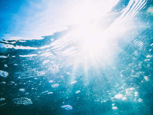istock Underwater wave in tropical sea and sun rays. Water in ocean 810877526