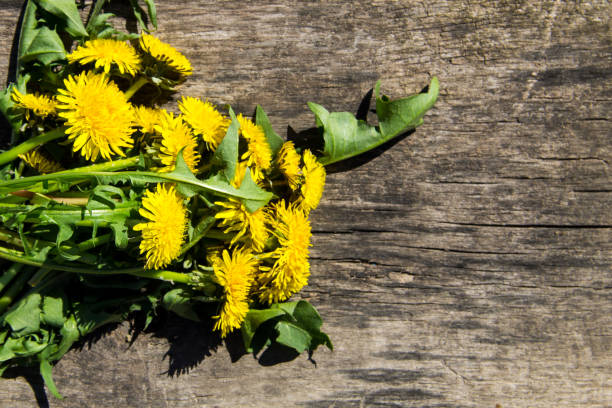 istock Yellow dandelion flowers on rustic wooden background. Top view 810877604