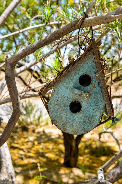 istock Vintage old blue birdhouse hanging off tree branch closeup 810880100
