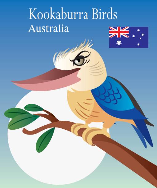 кукабурра птицы - newcastle stock illustrations